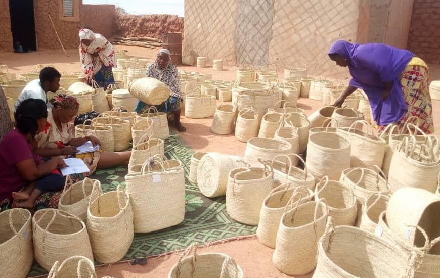 Sac palmier Lyon livraison commande