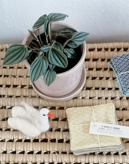 Cotons lavables Lyon eco responsable